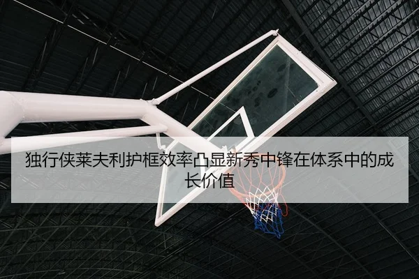独行侠莱夫利护框效率凸显新秀中锋在体系中的成长价值